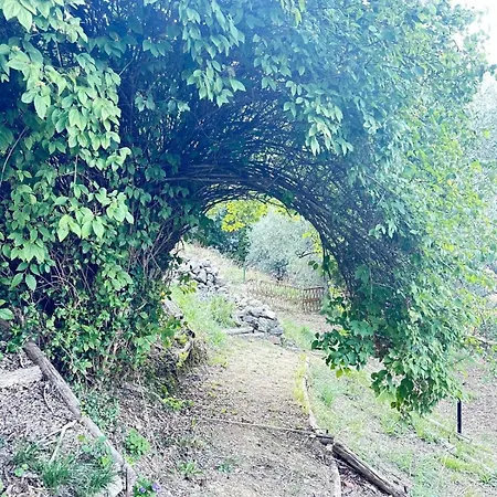 Farm stay Il Gelsomino *
