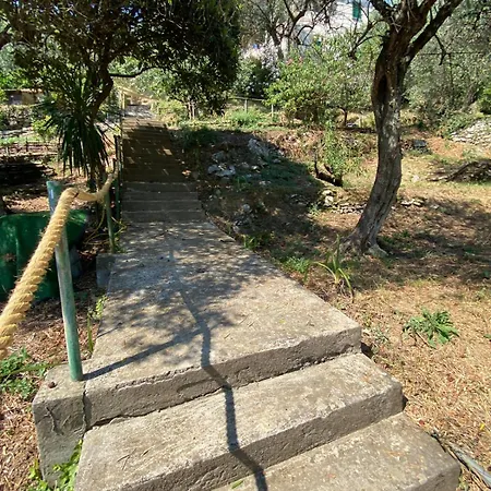Il Gelsomino