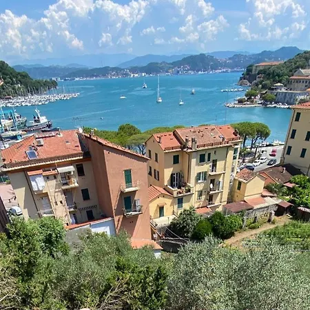 Il Gelsomino