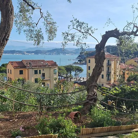 Il Gelsomino