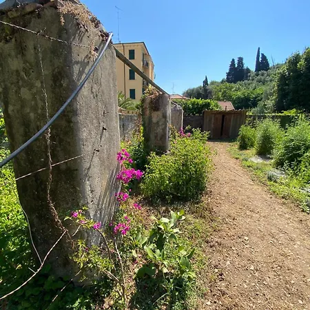 Il Gelsomino *